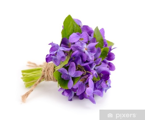 Dans le langage des fleurs, que signifie offrir des violettes ?