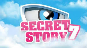Sur quelle chaîne est diffusée "Secret Story" ?