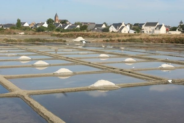 Depuis combien de temps les marais salants de Guérande sont-ils exploités ?