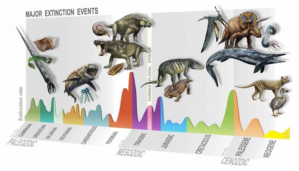 Combien y a-t-il eu d’extinction de masse ?