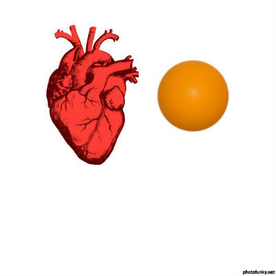 Le coeur est-il plus lourd qu'une balle de ping-pong ?