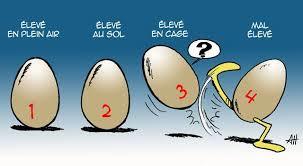 Pour être certain que les œufs qu'on achète soient élevés en plein air, quel chiffre doit être indiqué sur la coquille ?