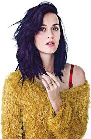Quel est le nom des fans de Katy Perry ?