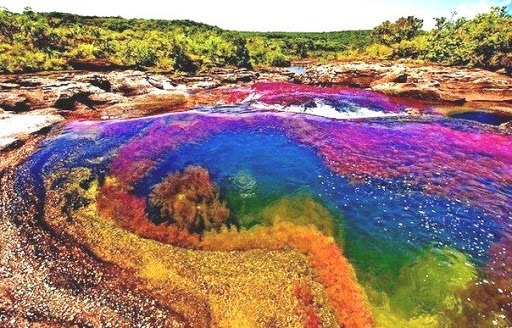 Où peut-on admirer la rivière des cinq couleurs ?