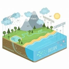Quel est le bon cycle de l'eau ?