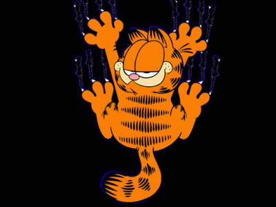 ¿En que ciudad nacio Garfield el Gato ?