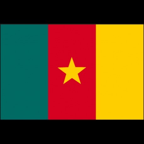 A quel pays appartient ce drapeau ?