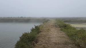 Il était cinq heures du matin - On avançait dans les marais - Couverts de brume !