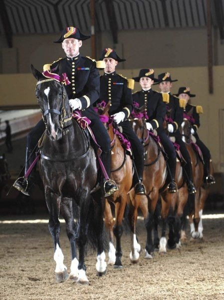 Quel nom porte la prestigieuse Ecole d’équitation de Saumur ?