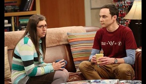 Comment Amy et Sheldon se sont-ils rencontrés ?