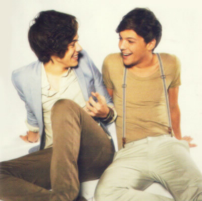 Quelle est la bromance de Louis et Harry ?