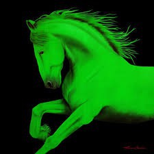 Quelle est la couleur de mon cheval vert ?