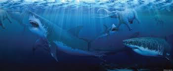 Quel requin, disparu depuis longtemps pouvait mesurer jusqu'à 20 m ?