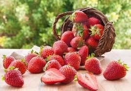 Combien de variétés de fraises existe-t-il ?