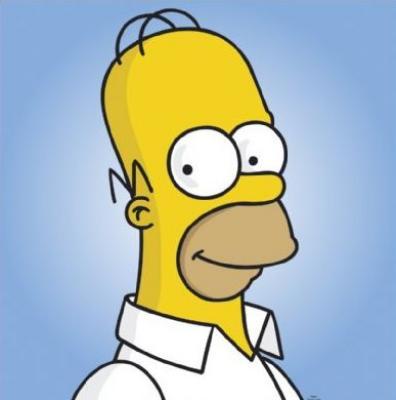 Combien Homer a de cheveux ?