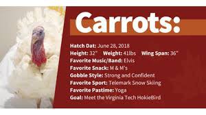 1.2 About which singer Carrots is fanatic ?
