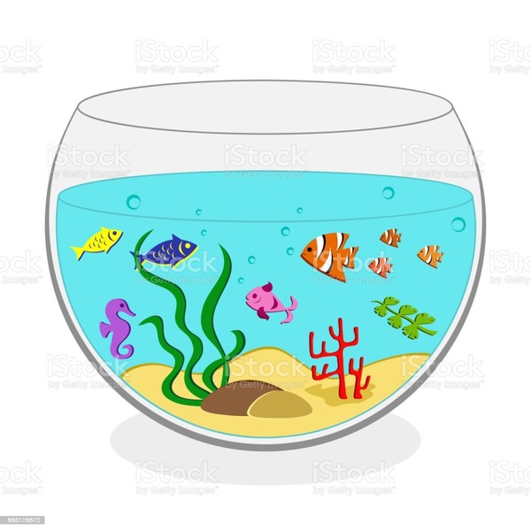 9. no aquário que tenho em minha casa tem 4 peixes amarelos, 2 peixes vermelhos e 5 peixes azuis. quantos peixes há no aquário ?