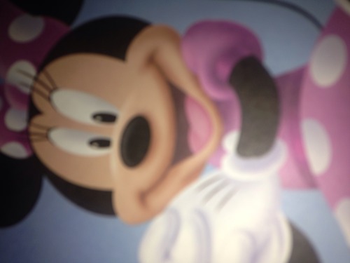 Comment s'appelle la femme de Mickey ?