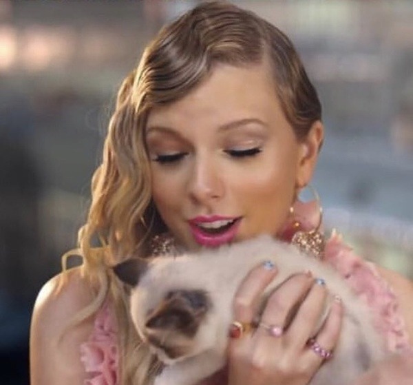 Comment s'appelle le chat de Taylor Swift, évoquant un film, que l'on peut voir dans son clip "ME!" ?