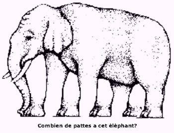 Combien de pattes a cet éléphant ?