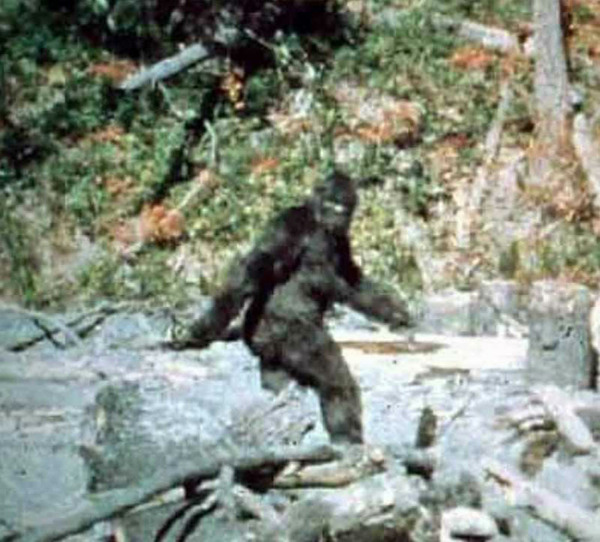 Célèbre créature qui vivrait dans les forêt d'Amérique du Nord, il s'agit de ?