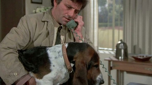 Quelle est la race du chien de Columbo, l'inspecteur obstiné et perspicace de la télé ?