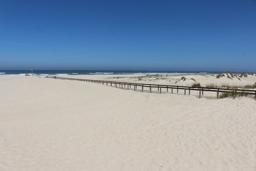 A praia de S. Jacinto é uma das mais famosas praias portuguesass. Onde se situa?