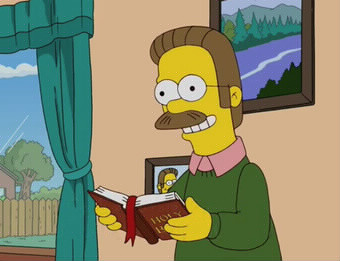 Il double le personnage de Ned Flanders depuis la saison 10:
