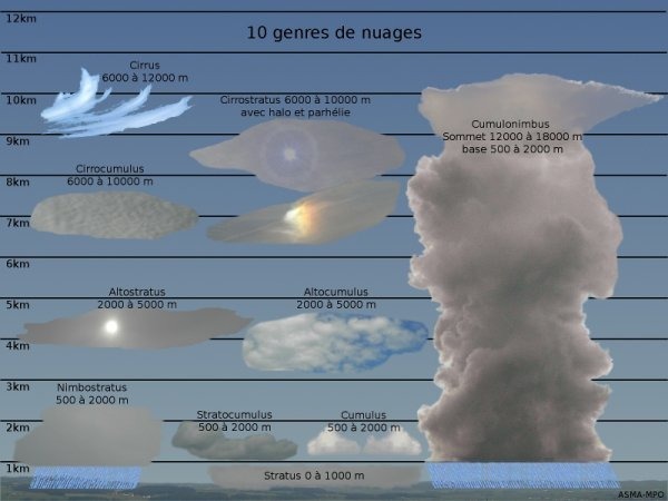 Qui est à l'origine de la classification des nuages en “cumulus“, “cirrus“ et “stratus“ ?