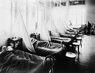 Quel est ce célèbre virus qui a décimé des centaines de millions de personnes entre 1918 et 1921 ?