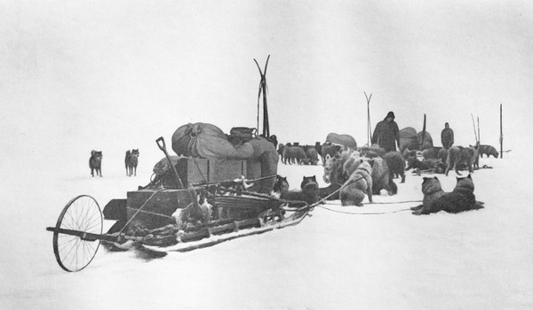 Quelle expédition atteint le pôle Sud en 1911 ?
