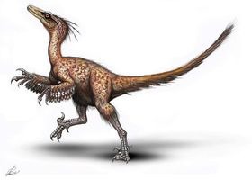 Troodon aurait été le plus intelligent des dinosaures ?