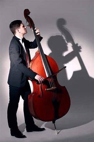 Cet instrument est un violoncelle .