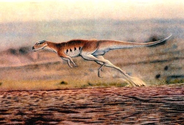 Le "lézard du Lesotho" était un petit dinosaure herbivore d'une trentaine de cm de hauteur et de 1m de longueur, son nom donne une indication pour la réponse ?