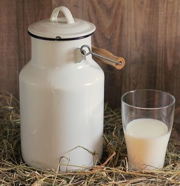 Avec quel lait le Saint-Nectaire est-il fabriqué ?