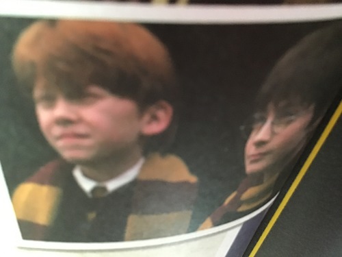 Harry et Ron sont des griffondor, ça veut dire qu’ils sont ?