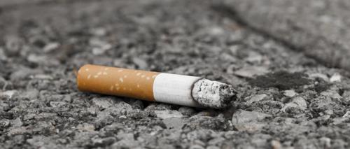 Le temps de décomposition d'un mégot de cigarette est de :