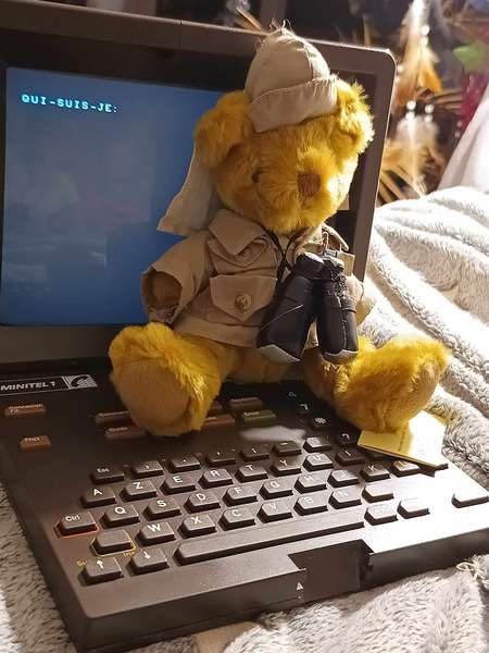 Que représente cette ourse en peluche ?