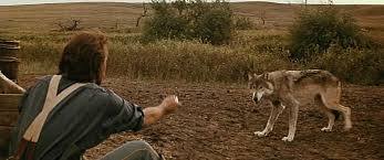 Comment John Dunbar baptise-t-il le loup solitaire dans "Danse avec les loups" (1990) ?