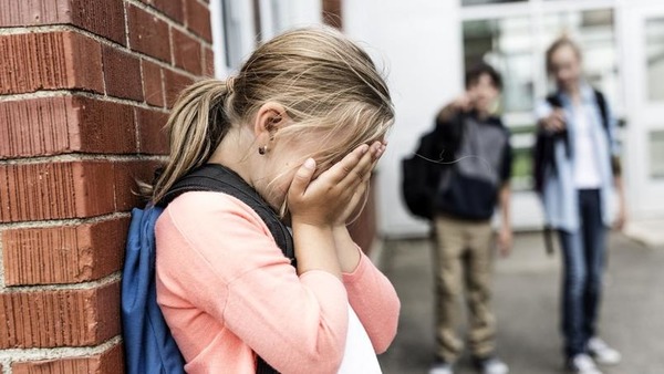 En novembre 2013, le ministre de l'Éducation nationale Vincent Peillon annonce.... mesures pour agir contre le Harcèlement à l’école.