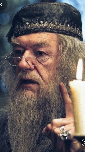 Comment s’appelaient le frère et la sœur de Dumbledore ?