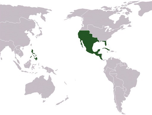 Virreinato que comprendía la zona de México y los piases de Centroamérica