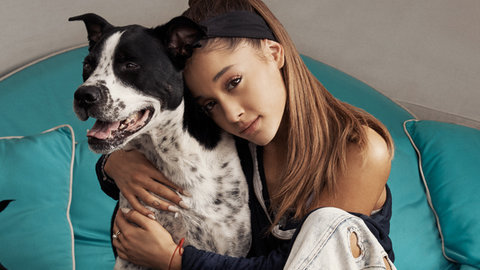 Comment se nomme le chien d'Ariana Grande ?