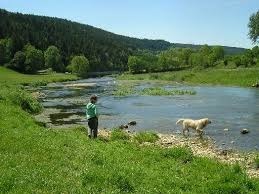 La rivière du Doubs est un affluent de :
