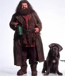 Comment s'appelle le chien peureux d'Hagrid ?