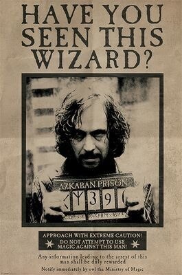 En quoi Sirius Black se transforme ?