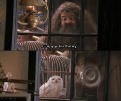Que lui offre Hagrid pour son anniversaire ?