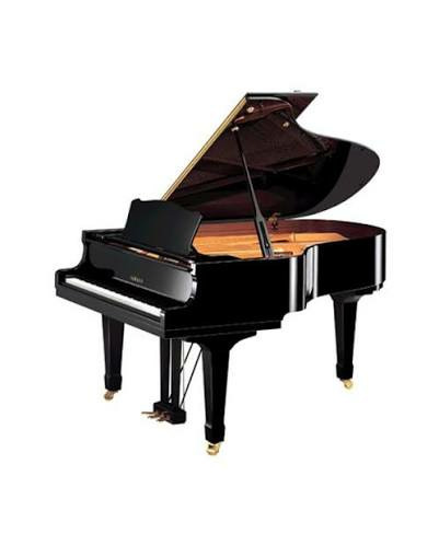 Sur un total de 88 touches, combien un piano classique compte-t-il de touches noires ?