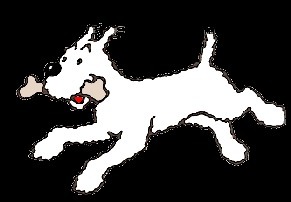 De quelle race est Milou, le chien qui accompagne Tintin dans chaque aventure ?