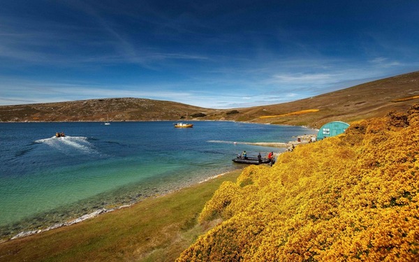 Où se trouvent les Îles Malouines (Falkland) ?